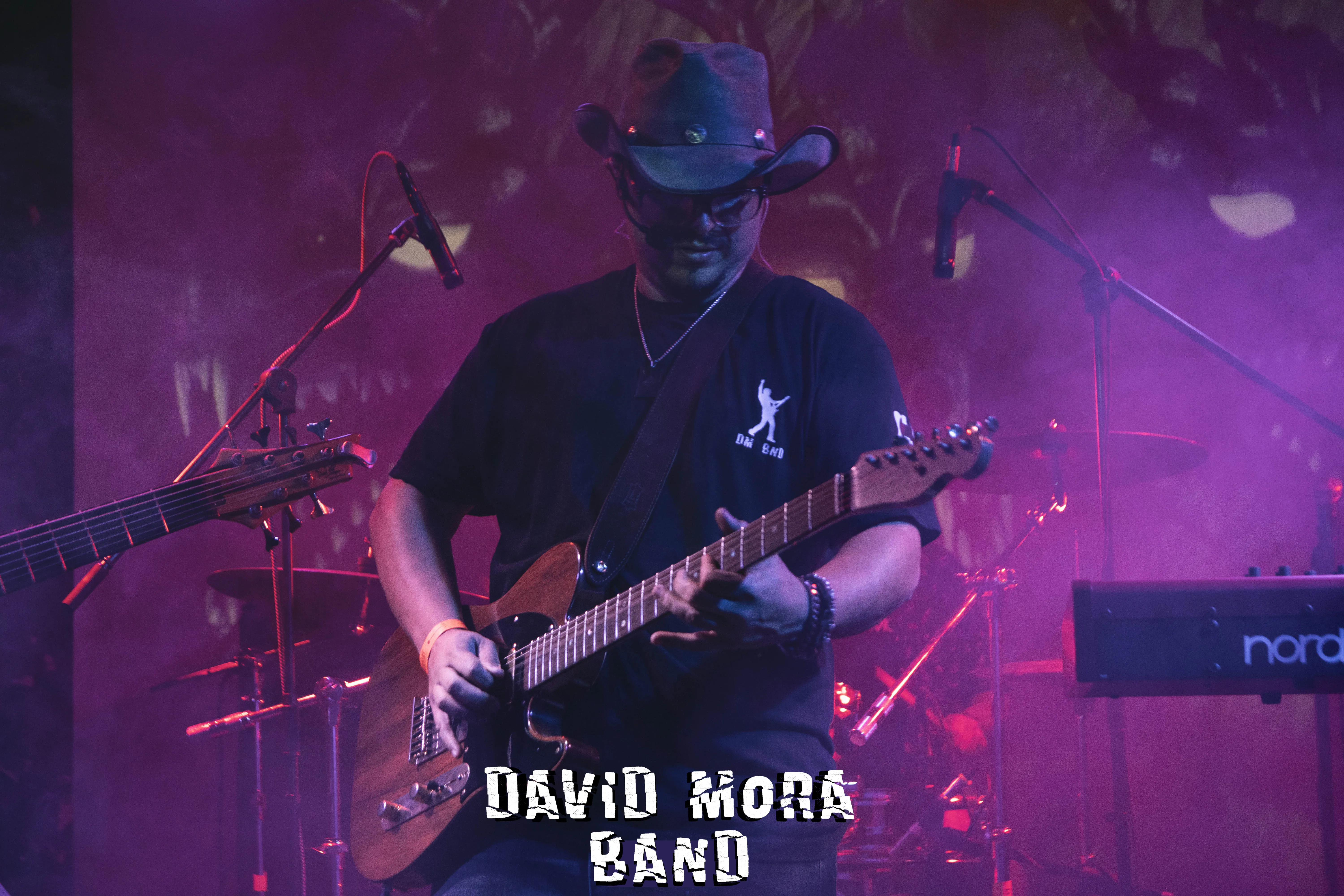 David Mora en concierto